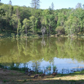 Tuolumne MeWuk RV Park